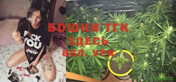 apvp Горнозаводск