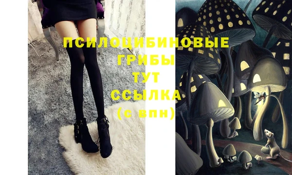 спайс Щигры