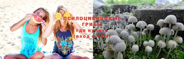 apvp Горнозаводск