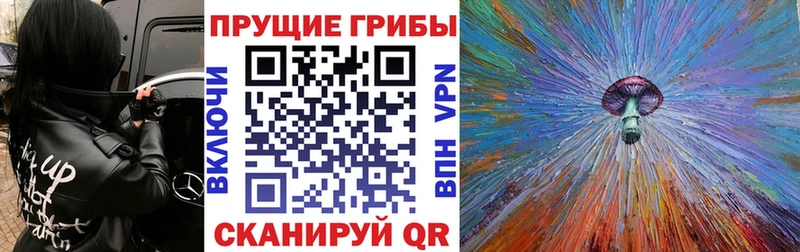 купить закладку  Могоча  Псилоцибиновые грибы ЛСД 